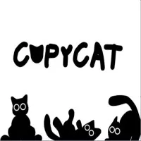 PLay CopyCat now!