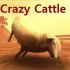 Crazy Cattle