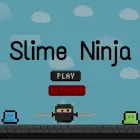 Slime Ninja